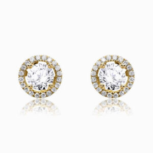 Shining earrings